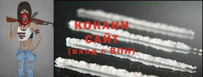 купить наркотики цена  Красный Сулин  Cocaine Эквадор 