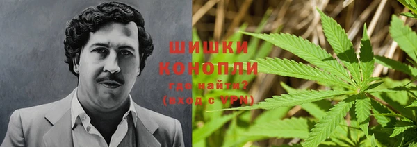 apvp Новозыбков