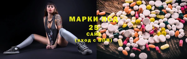 индика Нея