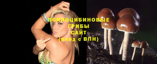 apvp Новозыбков