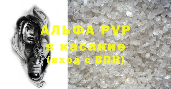 индика Нея