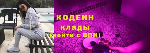 индика Нея