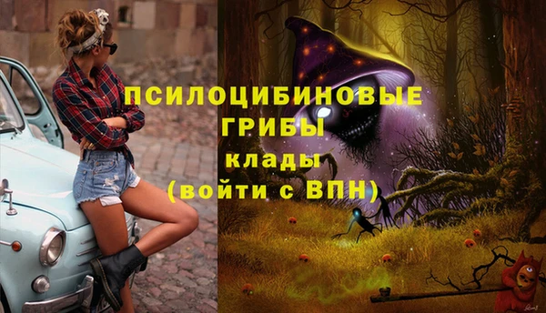 MESCALINE Нефтекумск