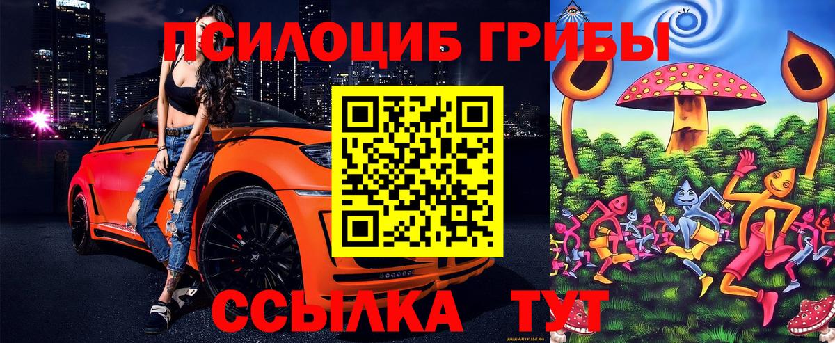 Псилоцибиновые грибы MAGIC MUSHROOMS Красный Сулин