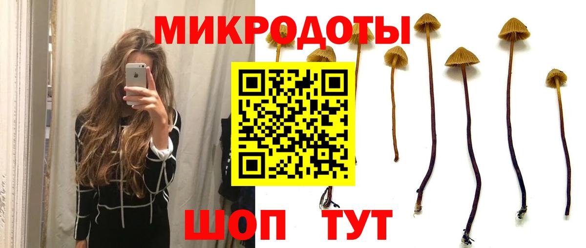 Галлюциногенные грибы MAGIC MUSHROOMS  Вход с VPN  Красный Сулин  Псилоцибиновые грибы прущие грибы 